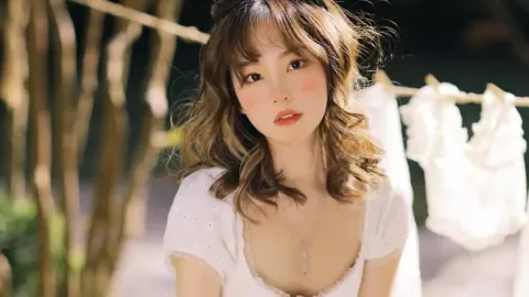 宁波公司宠物友好制度