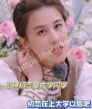 贾乃亮初恋