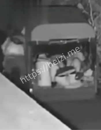 东北苞米地深夜野战翻车