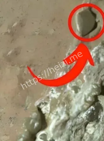 毅力号岩石样本