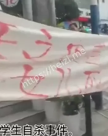 8天内两起学生跳河自杀