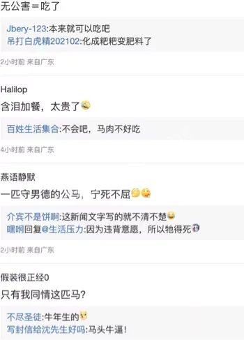 母马发情追逐争议