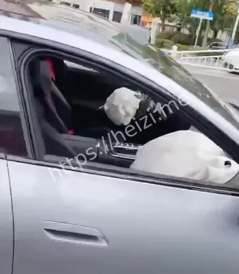 电动车安全维权