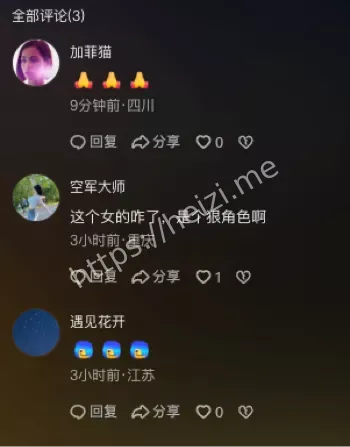 寿山村别墅自杀案