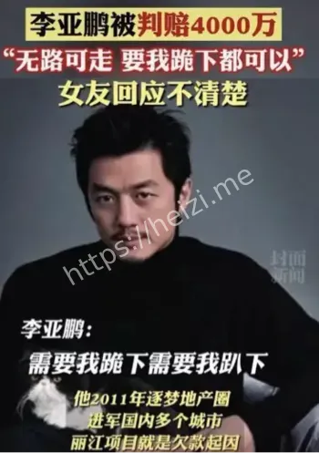 丽江雪山项目烂尾分析