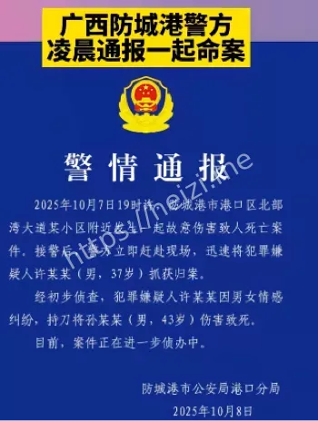 广西防城港阳光海岸杀人事件标签