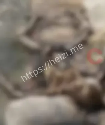 流浪汉拾机归还