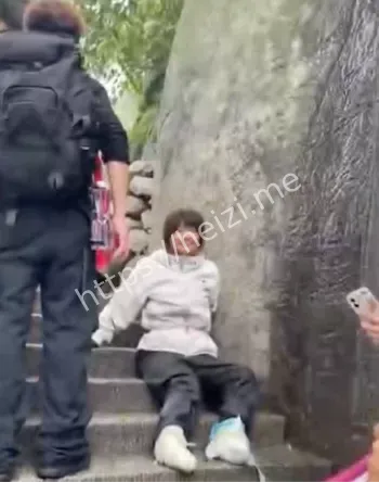 青岛00后徒手挑战泰山成功