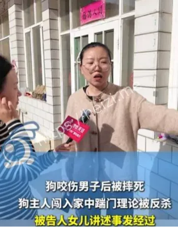 宠物狗伤人赔偿纠纷