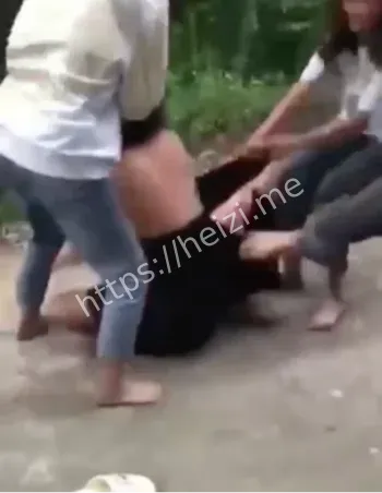 临高校园霸凌整顿