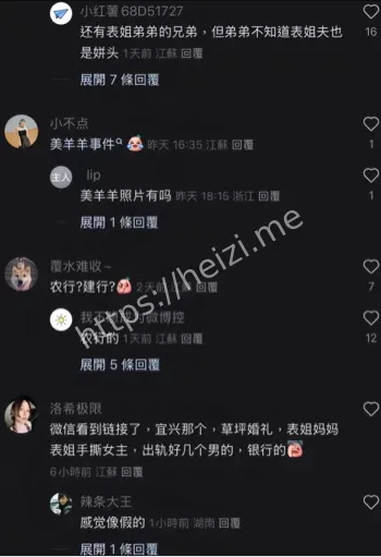 通奸表姐夫和宜兴党委书记任震飞