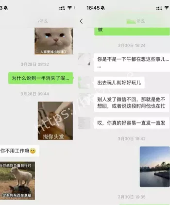 抖音敢敢子知三当三视频