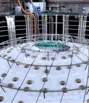 太阳中微子振荡参数成果