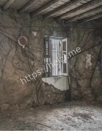 筱庐空置数十年