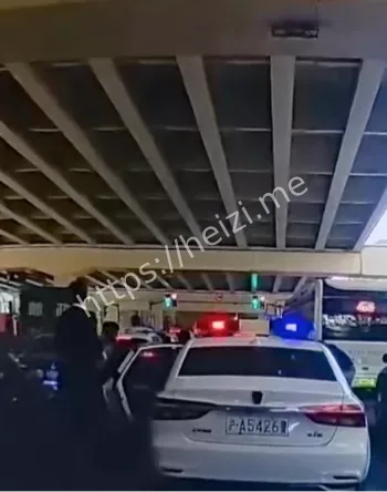 施某盗窃新能源车逃窜