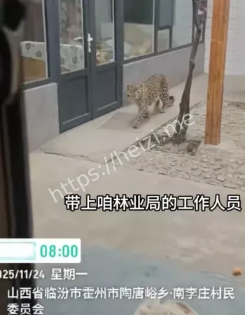 陶唐峪乡南李庄