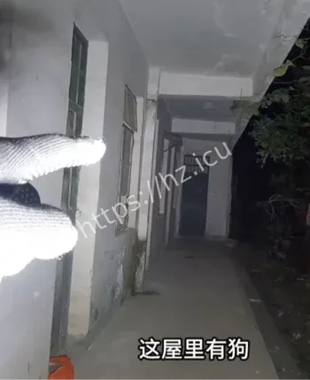 刘二真探湖南废弃大学