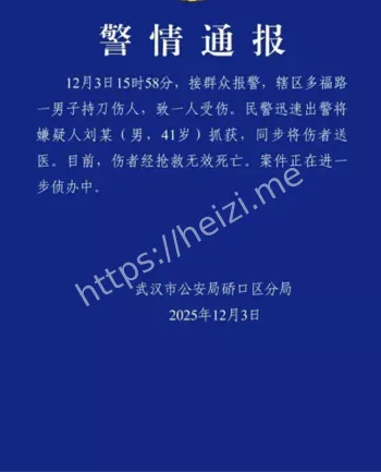 汉正街菜市场行凶