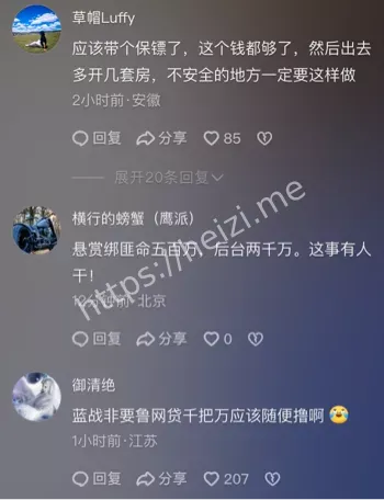 蓝战非南非劫持详细经过