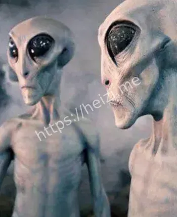 梦游还是外星绑架