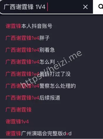 广西谢霆锋1v4事件