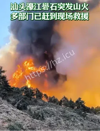 礐石街道后山着火实拍